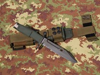 Fulcrum Bayonet.jpg